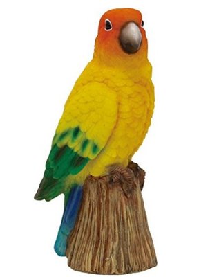 日本進口 高度15CM 好品質彩色鸚鵡小鳥鳥類森林野生動物擺件裝飾品送禮禮物 5707c