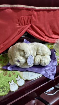 Cloud B 嬰兒 薰衣草 絨毛娃娃 12英吋 睡眠拉不拉多犬 附紫色緞毯 500