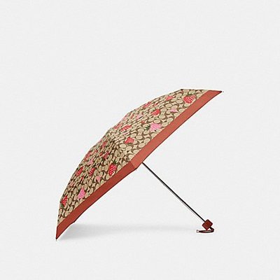 😱超低價😍在台2023  最新款 COACH 卡其C logo 草莓圖案 雨傘 折傘