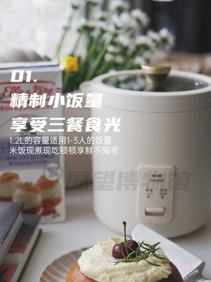 特賣-日本BRUNO電飯煲家用小型1-2人宿舍智能多功能壓力復古迷你電飯鍋