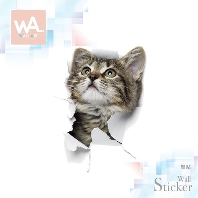 WA 現貨 無痕設計壁貼 3D貓咪可愛貼紙 兒童房遊戲室裝飾 DIY創意布置 室內設計 灰色虎斑貓 2009