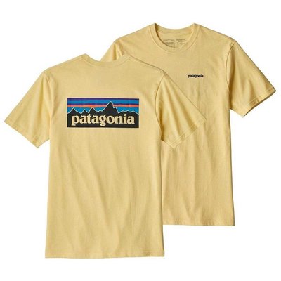 PATAGONIA P-6 LOGO TEE 有機棉 短袖 短T恤 灰色  經典短T 共十色 加州戶外品牌