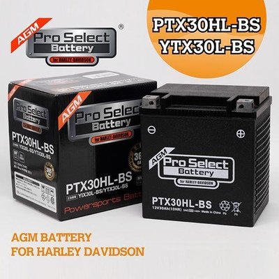 誠一機研 日本 Pro Select Battery 強力電池 電瓶 PTX30HL-BS YTX30L-BS 改裝