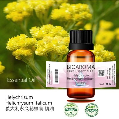 【芳香療網】Helychrisum - Helichrysum italicum 義大利永久花蠟菊精油 10ml