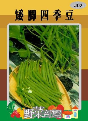 【野菜部屋~】J02 矮腳四季豆種子35粒 , 俗稱矮腳敏豆 ,每包15元~