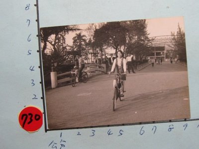 腳踏車,古董黑白,照片,相片4