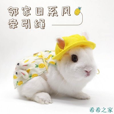 明珠寵物店【好愛寵】寵物兔子衣服 牽引繩兔兔幼貓貓咪垂耳兔裝飾品服飾 出遊拍照神器