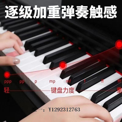 電子琴電鋼琴小型電子琴鋼琴88鍵專業考級家用初學者兒童便攜式電子鋼琴練習琴