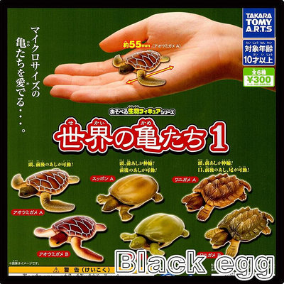 【黑蛋】現貨 T-ARTS 超可動生物 世界上的烏龜 烏龜 海龜 模型 玩具 扭蛋 轉蛋 全6種