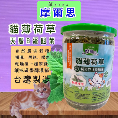 🍀小福袋🍀摩爾思MORES《頂級貓草 粗葉 50克/瓶》薄荷貓草. 粗葉 避免毛球堆積及舒緩壓力