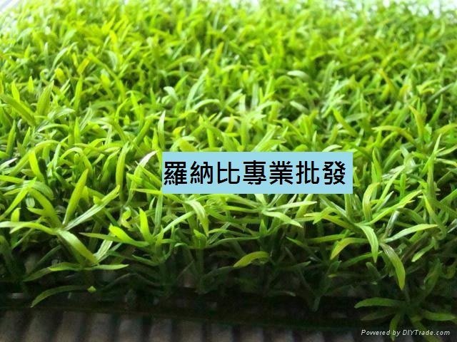 武竹草五竹草 人造草皮 人造花草坪人工草假草假花園藝裝飾草花陽台塑膠盆栽造景牆面裝飾 Yahoo奇摩拍賣