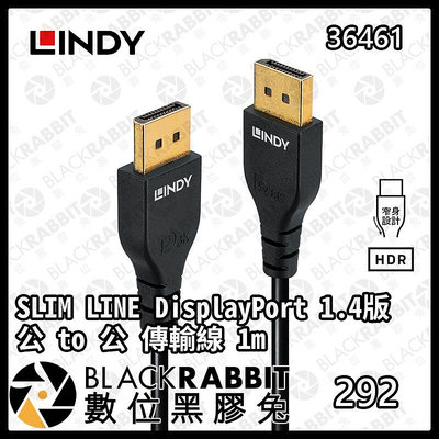 數位黑膠兔【 LINDY林帝 36461 36462 36463 SLIM LINE DisplayPort 1.4版 公 to 公 傳輸線 1m 2m 3m】