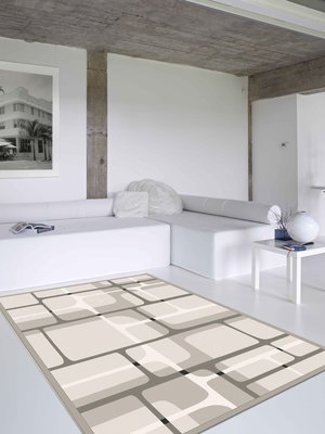 【范登伯格】花意簡單設計流行元素進口人造亮彩絲膠底地毯.賠售價4390元含運-160x230cm