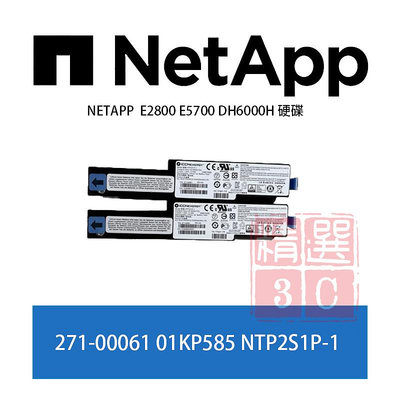 NETAPP 271-00061 01KP585 NTP2S1P-1 E2800 E5700 DH6000H 電池