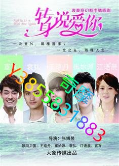 DVD 專賣店 轉身說愛你/如果回到從前/Fall In Love With You Again