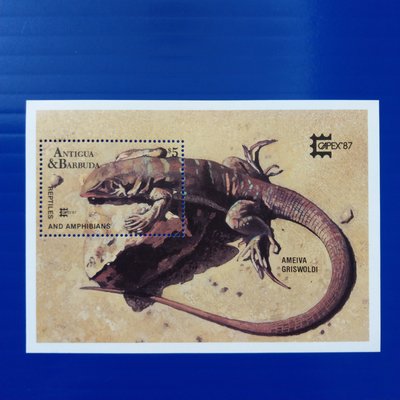 【大三元】美洲郵票-安地卡及巴布達郵票-野生動物專題-爬蟲類小全張-新票1張-原膠~WE2