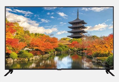 ***東洋數位家電*** 東元 50吋 4K+Android液晶顯示器 TL50U12TRE