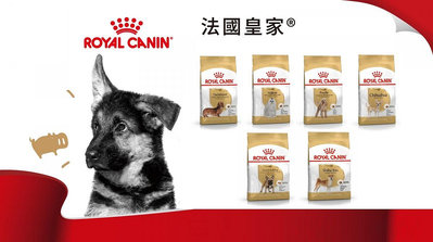 [附發票] ROYAL CANIN皇家 品種犬系列成犬 貴賓成犬/瑪爾/臘腸成犬/柴犬/法鬥/吉娃娃
