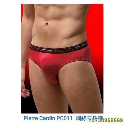 新品 【晉新】Pierre Cardin-琱絲三角褲-貨號PC011-貼身男性內褲、彈性透氣、吸濕排汗下殺款141525