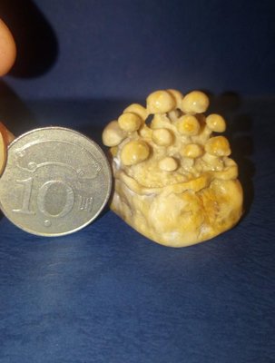 用巴林石刻一盆迷你的“鴻禧菇”有雕刻過程 李太子