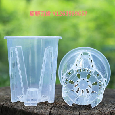 新款透明青山控根盆家用大號蝴蝶蘭專用小花盆塑料透氣鏤空蘭花杯