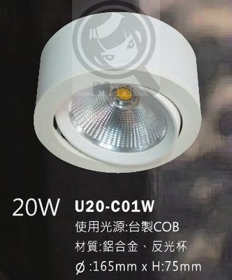 吸頂燈筒燈桶燈☀MoMi高亮度LED台灣製☀20W 室內戶外COB AR111散光黑/白殼騎樓車庫燈展場可調角度改軌道燈
