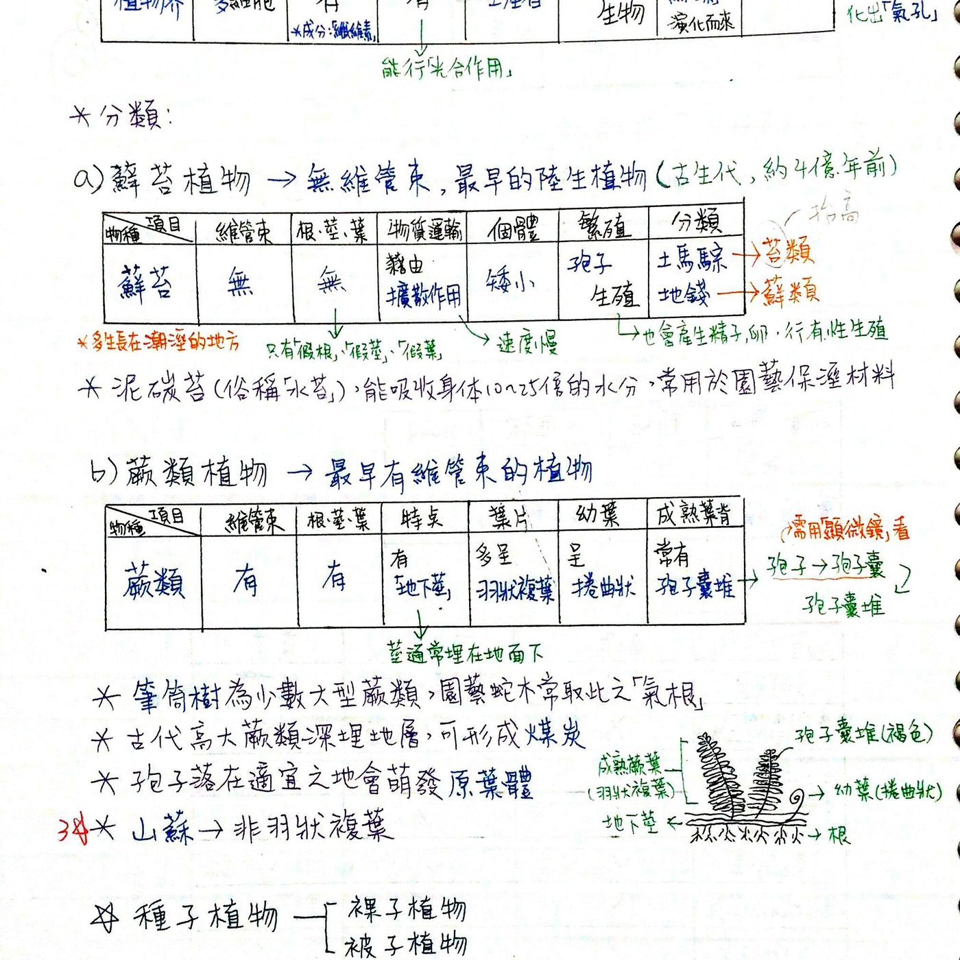 23彩色生物考上北一女 會考a 筆記 國中生物筆記 只含國一下 Yahoo奇摩拍賣