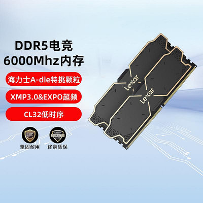 雷克沙DDR5記憶體條32GB（16GBx2）6000桌機電腦雙通道馬甲條套裝