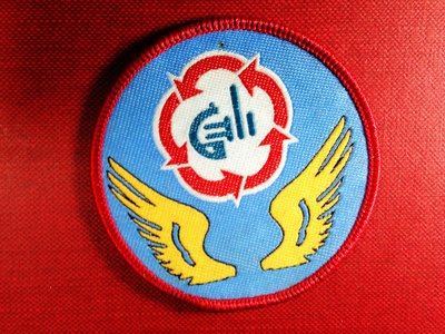 【布章。臂章】空軍教準部徽章/布章 電繡 貼布 臂章 刺繡-2