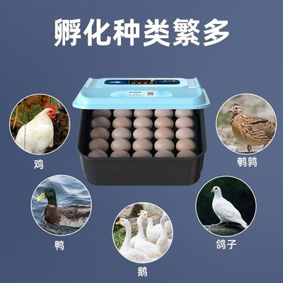現貨玄鳳鸚鵡受精蛋孵化器小型孵蛋器家用自動孵化機小雞鵪鶉蛋孵化箱可開發票
