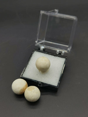 【二手】硅乳石Menilite Opal 球狀肝蛋白石天然礦物晶體稀 礦石 收藏 原石 【探幽坊】-900