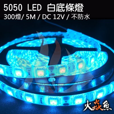 火焱魚 LED 5050 300燈 DC 12V 5米 白底 冰藍 不防水 燈卷 裝潢 間接照明 條燈