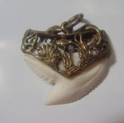 [虎鯊嘴牙]. #T01純銀雕塑包頭虎鯊魚牙項鍊...........衝浪浮潛海邊游泳獨一佩飾!