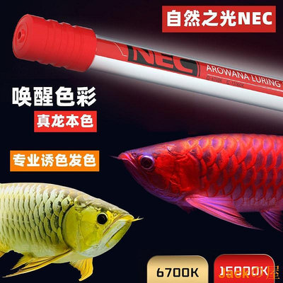 Jackの屋日本NEC龍魚專用髮色燈增色仟魚三基色魚缸燈紅龍金龍魚燈潛水燈