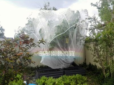 （2M包繩加拉鏈）防蟲網 罩 果樹 網室 園藝支架 種植 開心農場