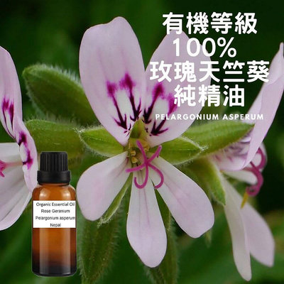 100%有機玫瑰天竺葵純精油Rose Geranium-Organic Essential Oil-50ml