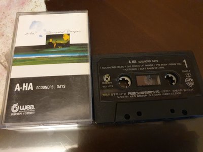 A-HA合唱團/惡棍生涯(A-HA SCOUNDREL DAYS)飛碟唱片