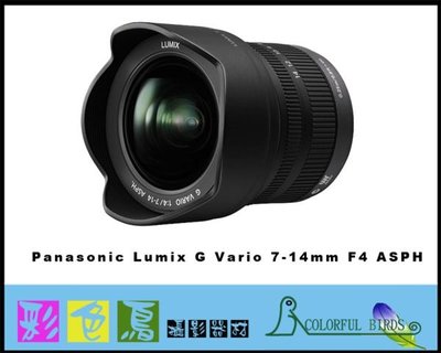 彩色鳥 Panasonic G Vario 7-14mm F4 + Panasonic 14-140mm 雙鏡組