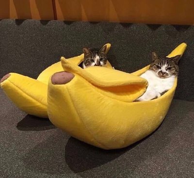 家居  ins香蕉貓窩寵物狗窩香蕉窩泰迪狗窩封閉式保暖香蕉船貓咪床