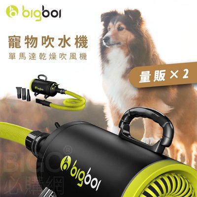 《量販×2》bigboi MINI 寵物單馬達吹風機 低噪音 寵物吹水機 汽機車可用 恆溫設計 兩段溫控 濾網可洗
