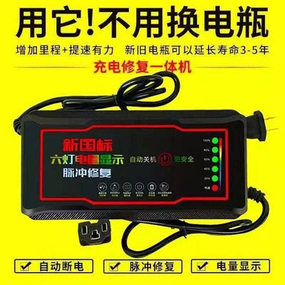 自動斷電 兩輪三輪電動車電瓶電器48V60V72V超級電車通用