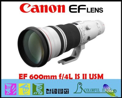 彩色鳥 (租鏡頭 ) 租 CANON EF 600mm F4 L II IS USM  CANON 600MM