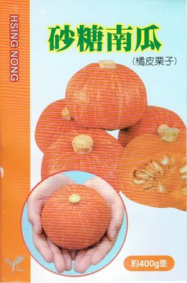 砂糖南瓜(橘皮 栗子南瓜) 【蔬果種子】興農牌 每包約6粒