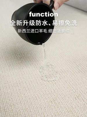 專場:羊毛地毯客廳日式極簡輕奢高級純色混紡防水防污侘寂風臥室床邊毯