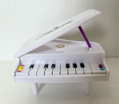 全新仿真鋼琴 音樂燈光電子琴 10鍵，可彈/有伴奏，電池式