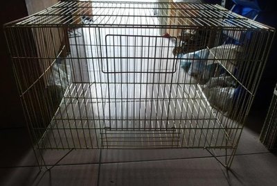 雞籠組 雞籠片 鍍鋅雞籠 鳥籠 寵物籠 4尺 6片組~ecgo五金百貨