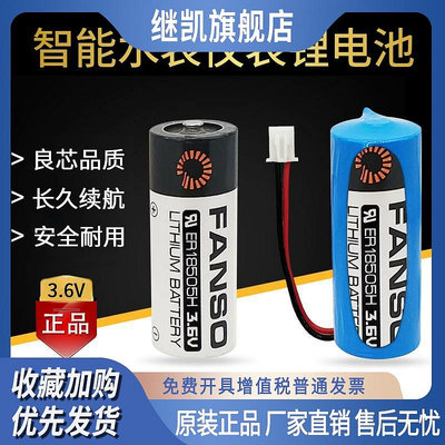 FANSO孚安特ER18505H電池3.6V 熱能表IC插卡式智能水表電專用電池
