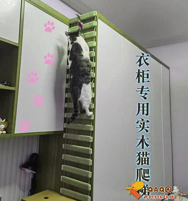 貓爬架貓窩貓樹一體 貓爬梯 貓樓梯  貓籠子爬梯  貓梯子貓抓板.