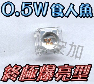 A4A41 買10送10 終極爆亮0.5W 凸頭-食人魚LED 四晶片 many.G5.新勁戰.GTR