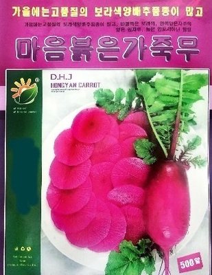 【大包裝蔬菜種子L315】鳳梨水果蘿蔔~~甜脆水果蘿蔔新品種，紫皮紫肉，根皮光滑紫紅色，根肉亮紫色，口感出眾